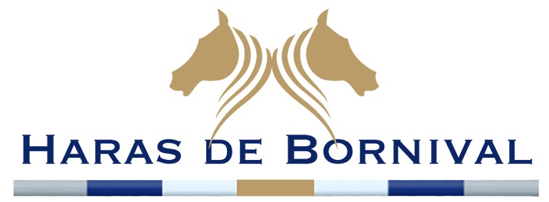 Haras Logo